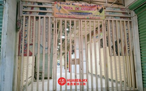 因法院命令，索诺拉市场暂停动物销售