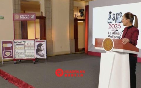 正在研究实施“福利药房”的方案：谢因鲍姆