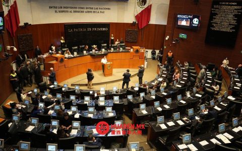 参议院若废除“匿名法官”制度，须同步出台临时保密措施