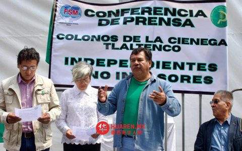 农业生产者呼吁埃布拉德（Ebrard）评估将谷物产品移出“T-MEC”协议的合理性