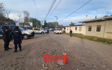 萨拉曼卡足球场发生武装袭击，致11人死亡