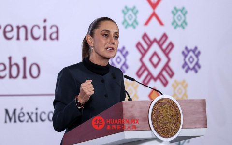 美国军用飞机未搭载部队或武器，无需参议院批准——谢纳曼