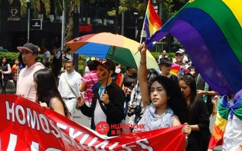 “无声的危机”：2025年LGBTQ+青少年焦虑抑郁持续加重