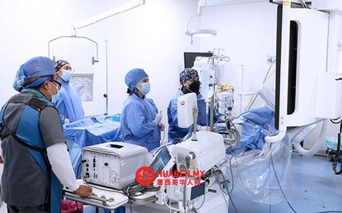 2025年IMSS专科手术与诊疗量虽增，仍未达目标——罗夫莱多坦言