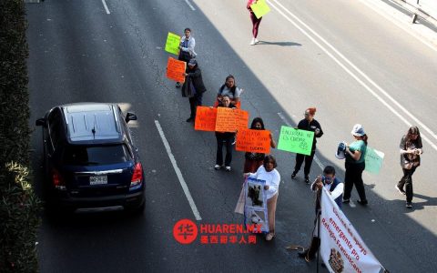 莫雷纳在国会警告：针对狗狗收容所的“激进主义”行为系虚假指控