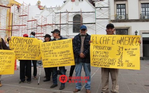 韦拉克鲁斯（Veracruz）咖啡种植者指控有人操纵咖啡豆价格