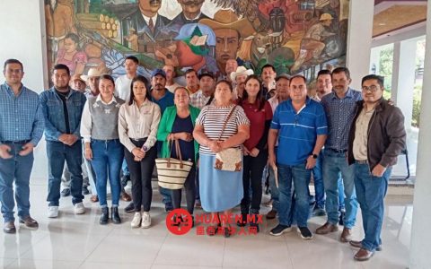 康纳福保护米却肯州（Michoacán）超3000公顷低地森林