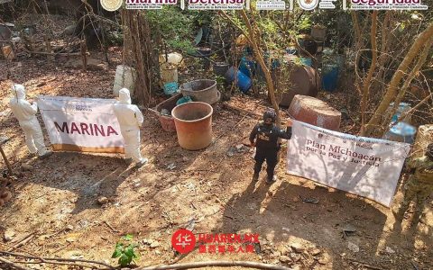 墨西哥三州捣毁制毒窝点，涉甲基苯丙胺生产