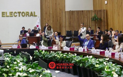 迪莫斯（Dimos）对“拯救墨西哥”（Salvemos México）组织的技术审查仅为技术性评估，不构成支持或认可；该审查由墨西哥国家统计研究所（INE）开展。