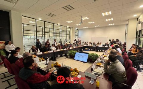 韦拉克鲁斯州柑橘农联手Sader公司制定虫害防治方案