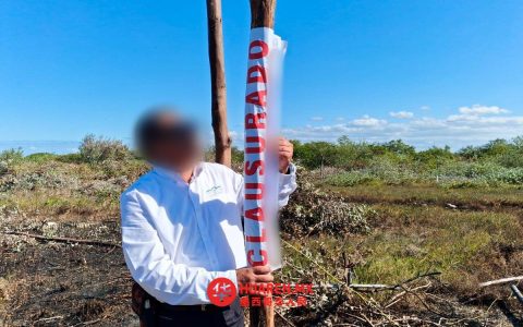 墨西哥环保署关闭尤卡坦州普罗格雷索市海岸红树林湿地内非法施工项目