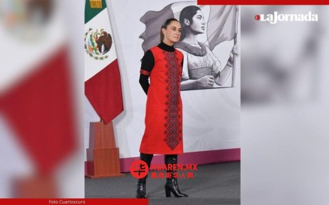 选举改革强化INE独立性 降低选举开支 谢因鲍姆称此举有助制度稳定