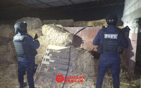 瓜纳华托州塞拉亚市（Celaya）查获1300万升非法酒精饮料“huachicol”