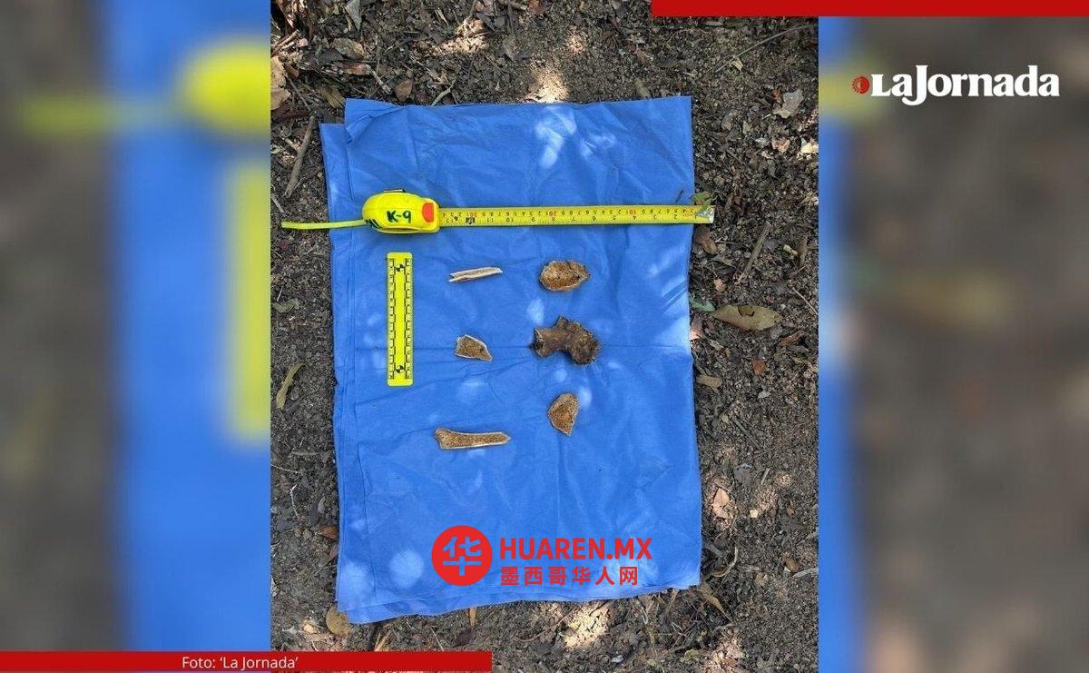 阿卡普尔科发现霍兰遗骨，系搜寻活动家维森特·苏阿斯特吉期间所获