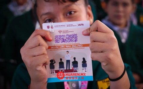 墨西哥城（La CDMX）全年自杀事件数达493起，居全国第四
