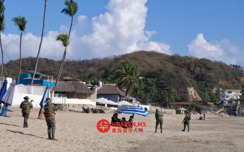 “Pez Vela 2025”行动救出3人，逮捕37名嫌疑人