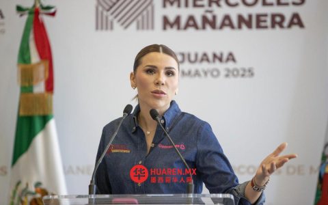SNA主席要求马里纳·德尔皮拉尔辞职，因其家庭事务正接受调查