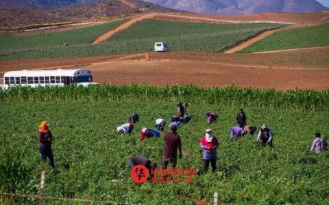 圣金廷工人启动司法援助计划——谢因鲍姆