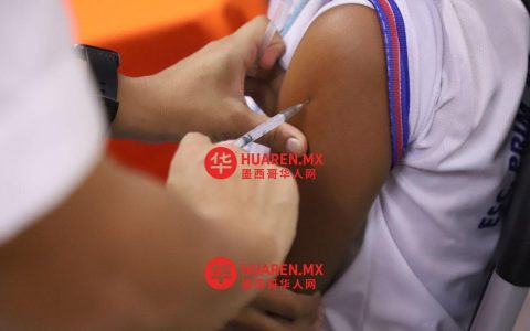 伊达尔戈省流感与新冠疫苗接种点指南