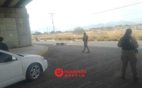 戈麦斯帕拉西奥一未成年骑手驾车致一女性死亡