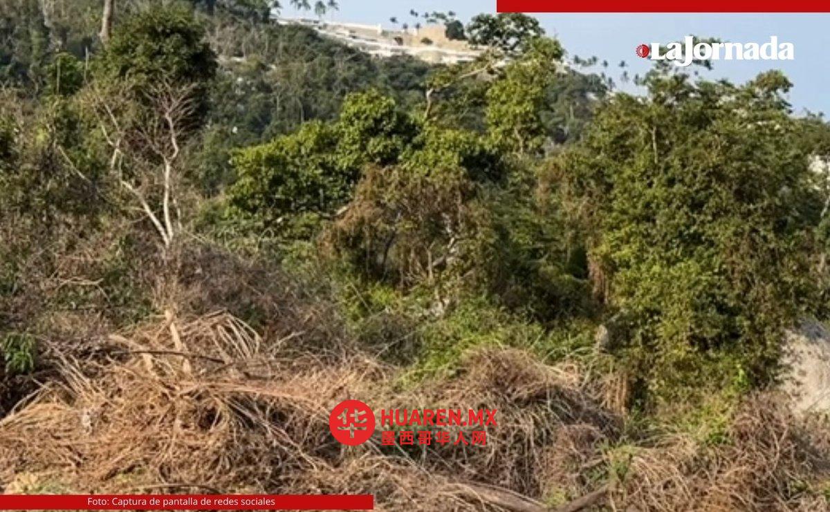 有人指控格雷罗州政府拟在阿卡普尔科保护区开发房地产
