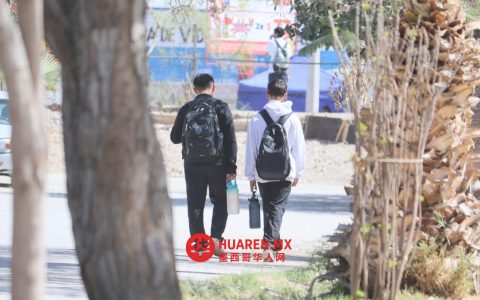 托雷翁市2026年多数犯罪涉未成年人