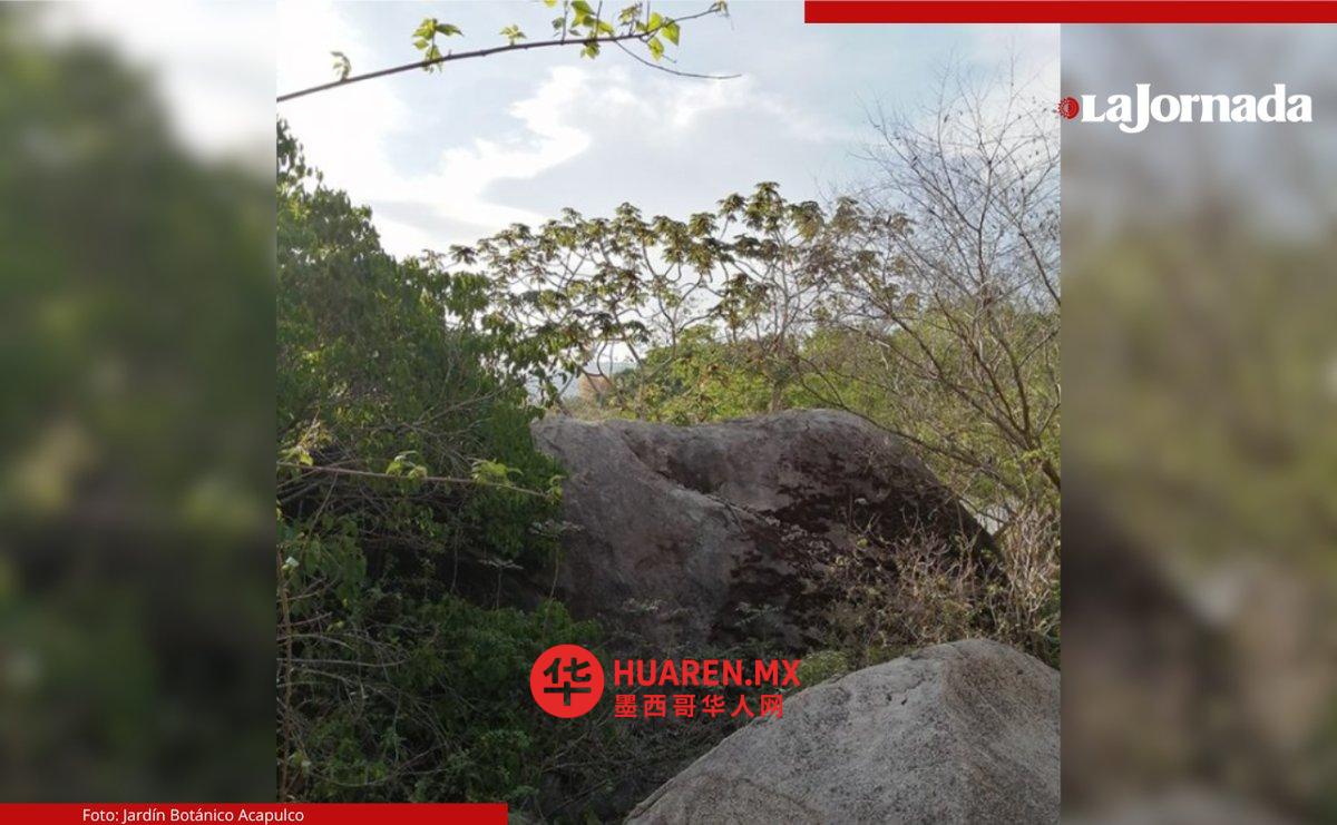 环保人士与多家企业联手，阻止阿卡普尔科百年公园（Parque Bicentenario de Acapulco）转让给Fidaca公司
