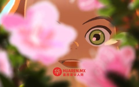 《阿梅丽与雨中的秘密》入围奥斯卡奖