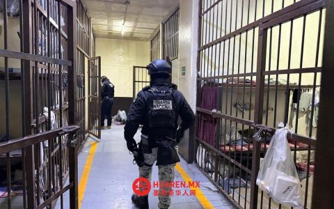 华雷斯市塞雷索区查获藏匿违禁品