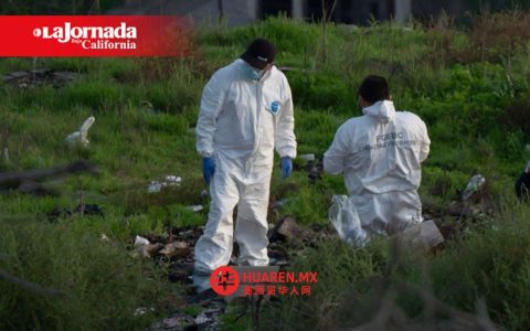墨西卡利再添两命，2026年初以来死亡人数已达113人
