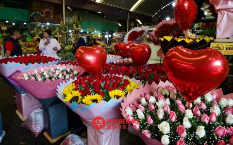 “爱情与友谊之日”将绽放墨西哥本土花卉