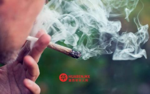 大麻个人使用合法化问题引发墨西哥最高法院内部分歧