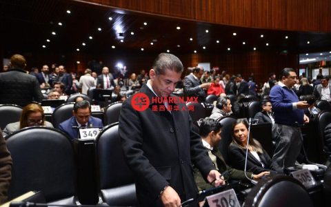 PVEM称将在了解“Puente”等改革倡议前持续讨论选举制度改革