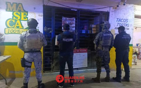 墨方救出5名在金塔纳罗奥遭剥削的青年