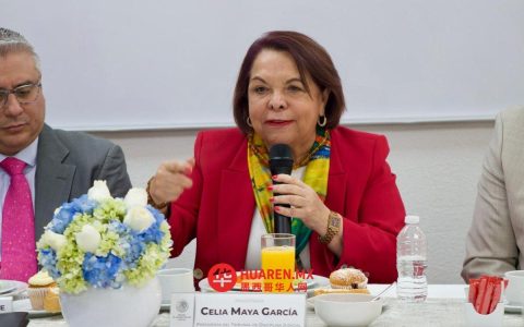 塞莉亚·玛雅：司法纪律法庭是保障司法公正、拉近司法与社会距离的关键机制