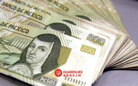 庄园为偿还公共债务完成再融资