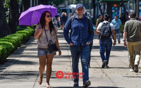 墨西哥城2026年2月17日各区政府天气预报