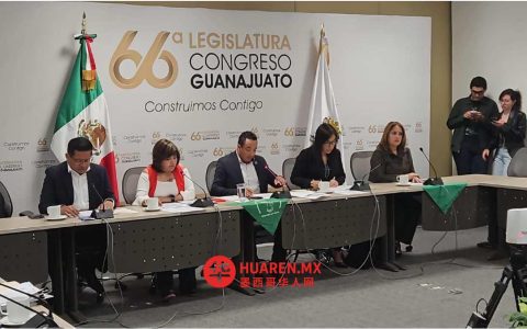 瓜纳华托州拟推动堕胎非刑事化