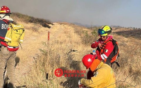 塞罗德尔库比莱特发生火灾 多地过火 西拉奥消防员紧急出动