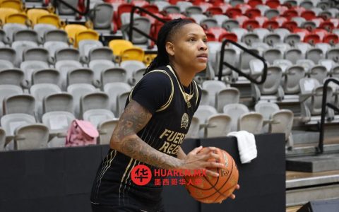 华盛顿寻找名为“Fuerza Regia Femenil”的作品资料