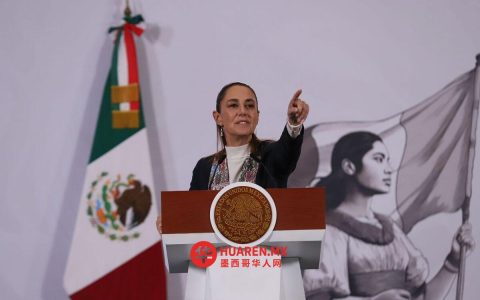 圣拉扎罗市推出新多议席选区划分方案，与墨西哥城类似