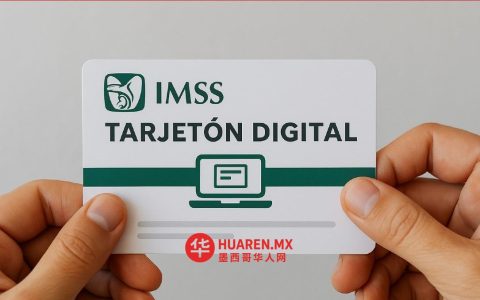 IMSS数字卡下载指南：告别排队烦恼