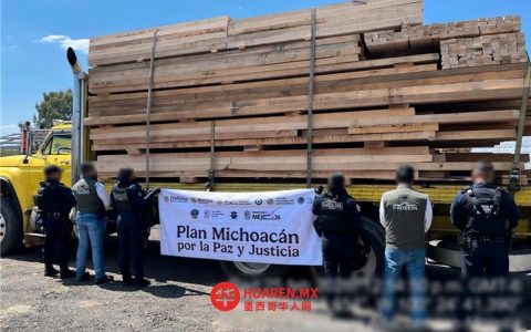 打击帝王蝶保护区非法活动 14人被捕