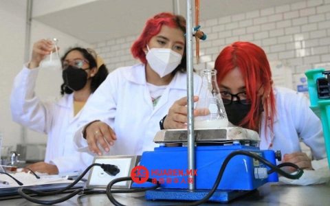 国际妇女和女孩科学日