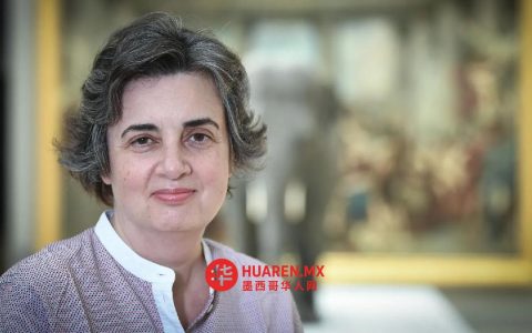 卢浮宫博物馆馆长因多重危机辞职
