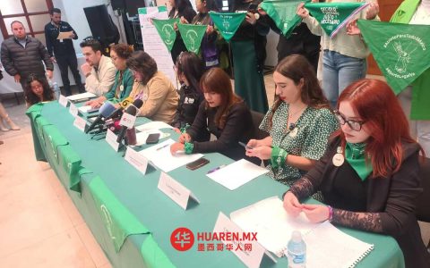 杜兰戈州女权团体呼吁国会将堕胎合法化