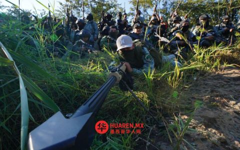 CJNG（埃尔门乔贩毒集团）活跃于哪些墨西哥地区？