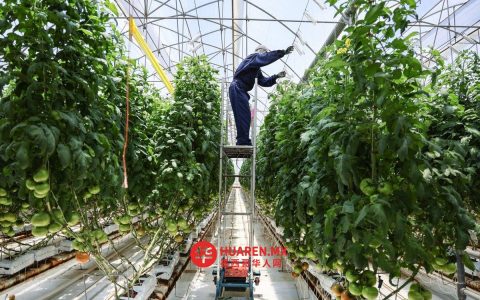 2025年墨西哥国内生产总值增长0.8%