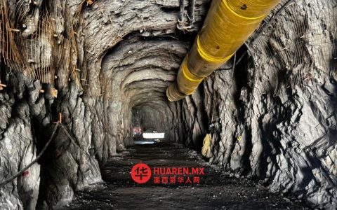 Minera公司对Concordia矿区工人死亡事件致哀，股价应声下跌