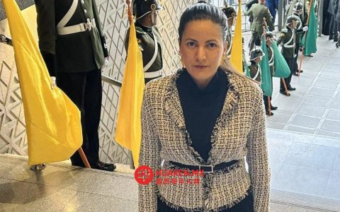 墨西哥就帕亚访墨事宜向美洲人权委员会发送外交照会